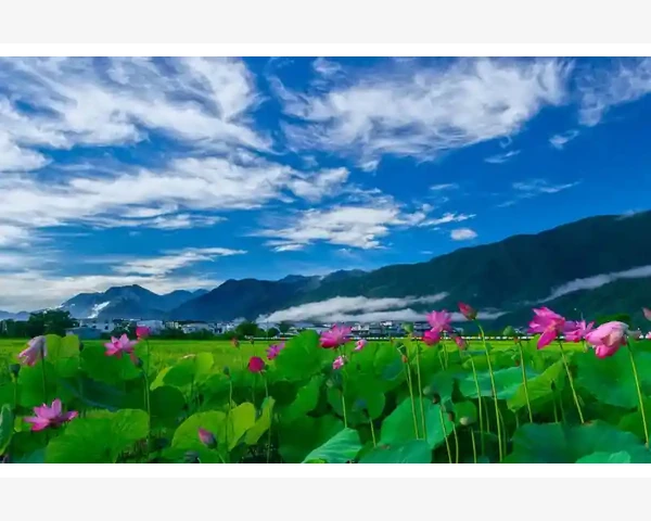 B2B订单挖掘实战从行业到人脉全方位突破